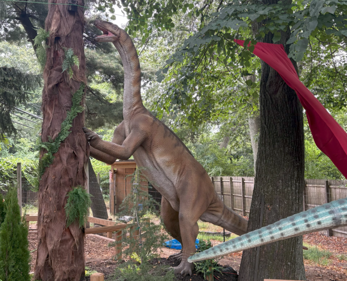 screenshot 2025 08 11 094304