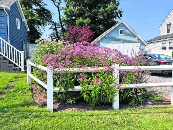 native gardens