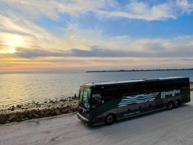 Hampton Jitney is one of this month's Small Business Stars!