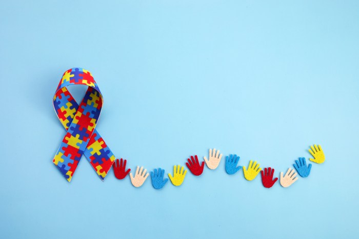 The Developmental Disabilities Institute (DDI) offers educational, vocational and emotional assistance to autistic children who require accommodations.