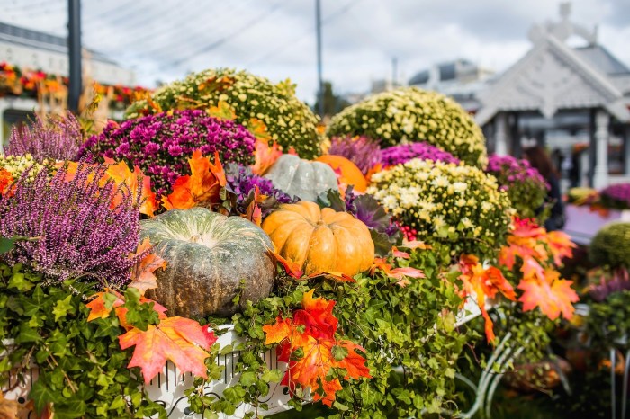 The 2025 Long Island fall festivals and fairs are the best times to check out local vendors and produce.