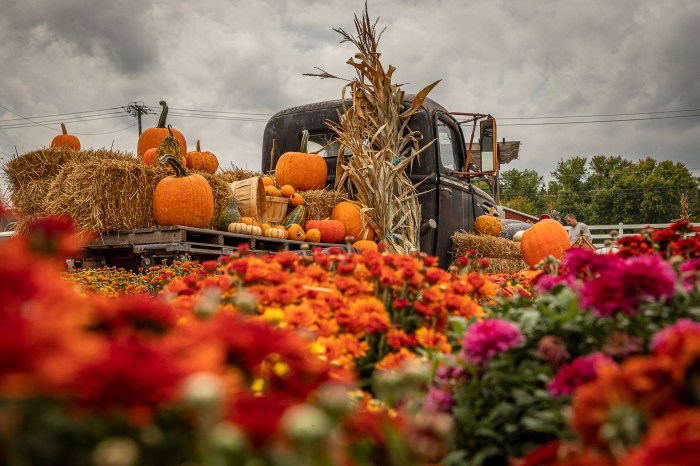 Whether you're going with friends or looking for a fun day out with the family, these Long Island fall festivals are the perfect seasonal outing.