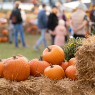 From hayrides and pumpkin patches to apple cider and food trucks, here's your complete 2025 guide to all the fall festivals & fairs happening on Long Island this autumn.