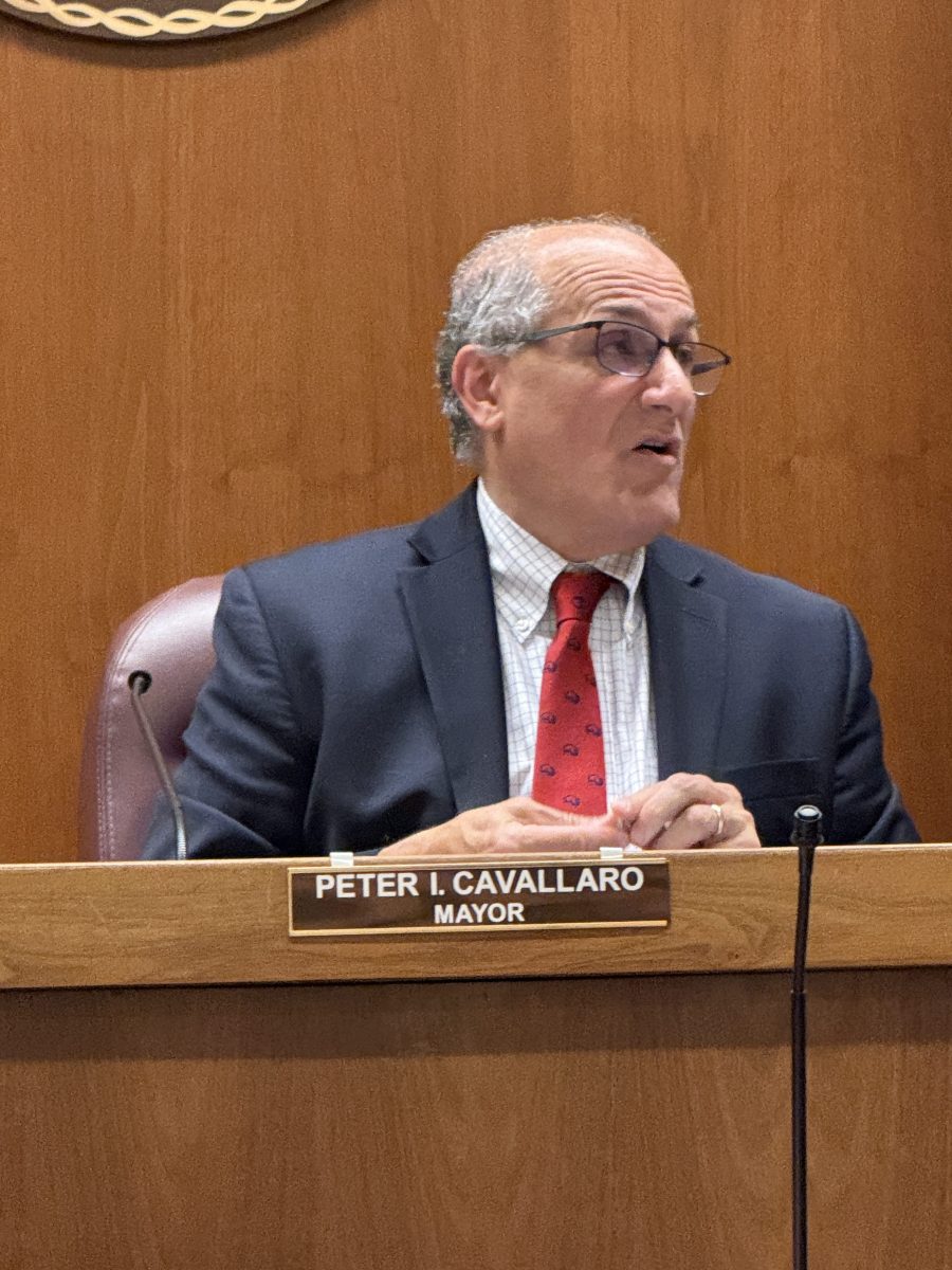 Westbury Village Mayor Peter Cavallaro said he was 'troubled' by how Cena 081 has operated.