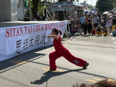 The Syosset Street Fair featured a martial arts demonstration.