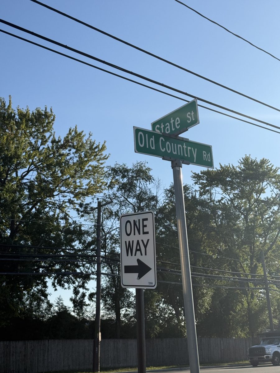 A Hicksville man pleaded guilty to manslaughter and other charges after a 2024 incident left a man dead in Westbury.