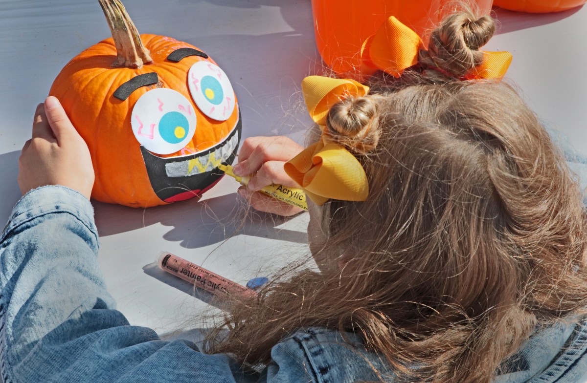 North Hempstead will host its fifth annual Fall Family Festival.