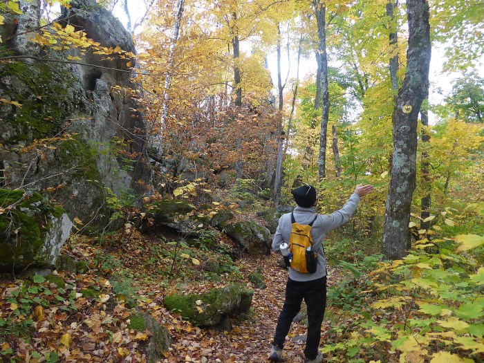 NYS Adirondacks 100320 151e2c Karen Rubin Chimney Mtn