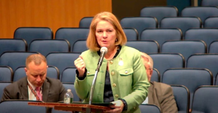 North Hempstead Town Supervisor Jennifer DeSena spoke at the board of education meeting.