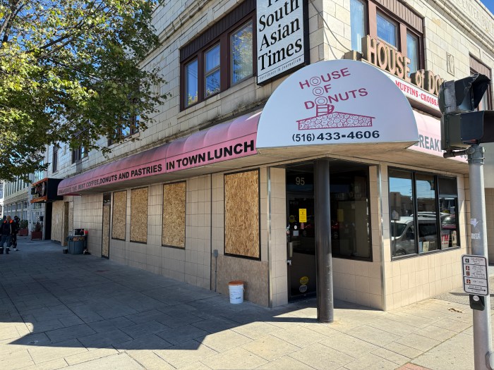 A fire in Hicksville burned through businesses and injured one firefighter.
