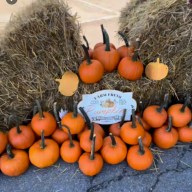 The Seaford Chamber of Commerce held its annual Oktoberfest celebration with fall-themed festivities.