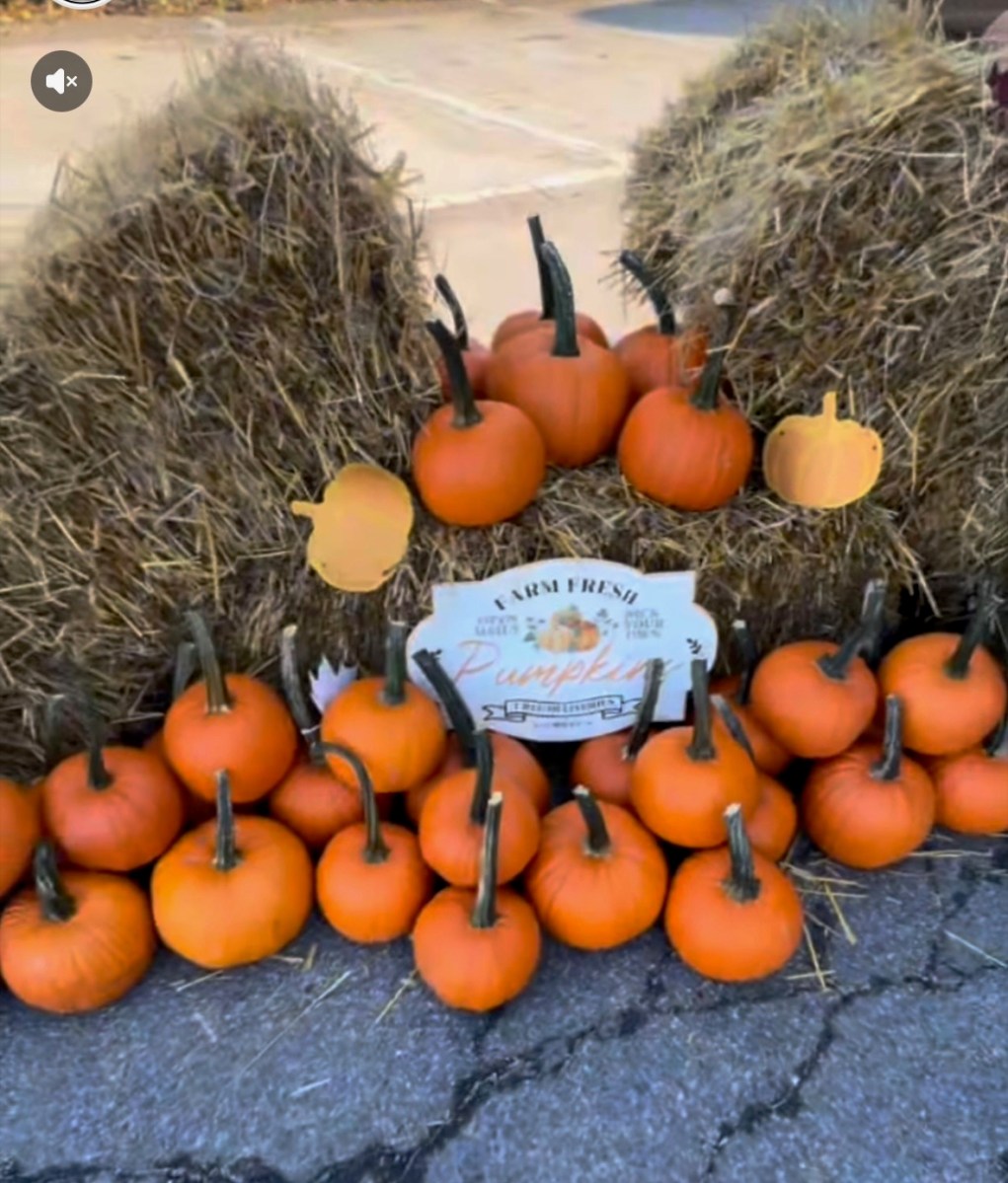 The Seaford Chamber of Commerce held its annual Oktoberfest celebration with fall-themed festivities.
