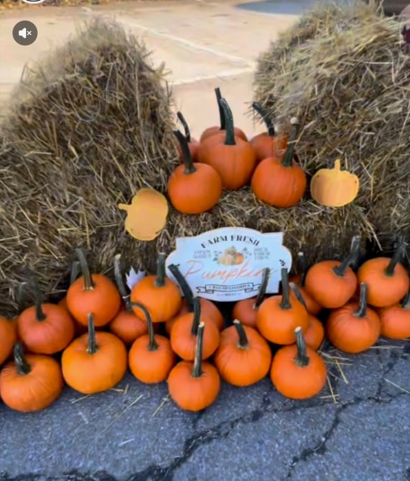 The Seaford Chamber of Commerce held its annual Oktoberfest celebration with fall-themed festivities.