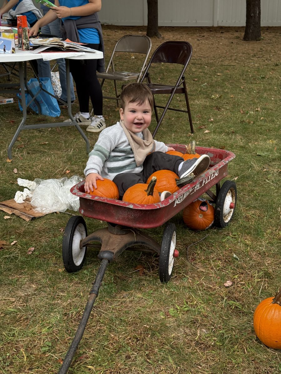 Hundreds of people celebrated the Cow Neck Peninsula's history at the historical society's annual fall festival.