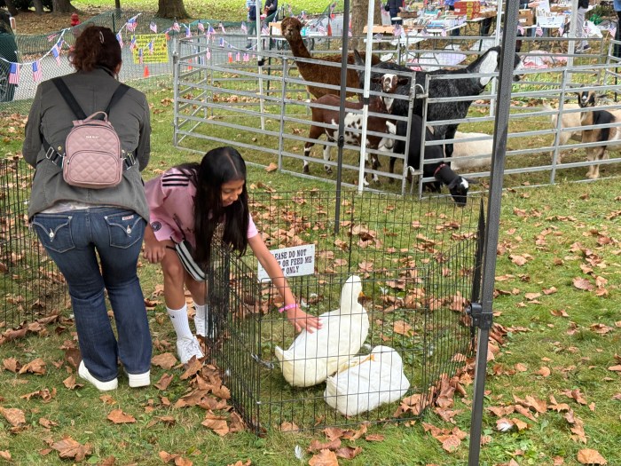 The festivities included a petting zoo with ducks, bunnies and goats.