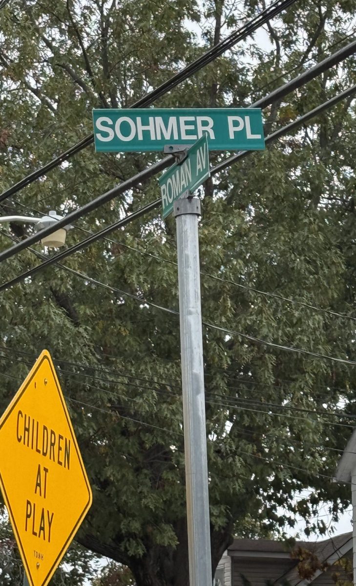 Nassau County Police are looking for a suspect after a suspicious car fire in New Cassel.