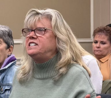 Cat activist Liz Diamond clashed with town supervisor Jennifer DeSena at a board meeting.