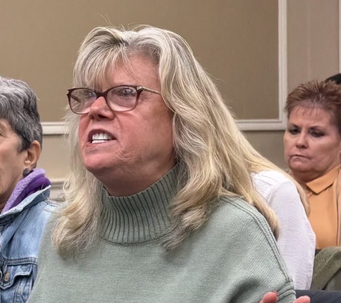 Cat activist Liz Diamond clashed with town supervisor Jennifer DeSena at a board meeting.