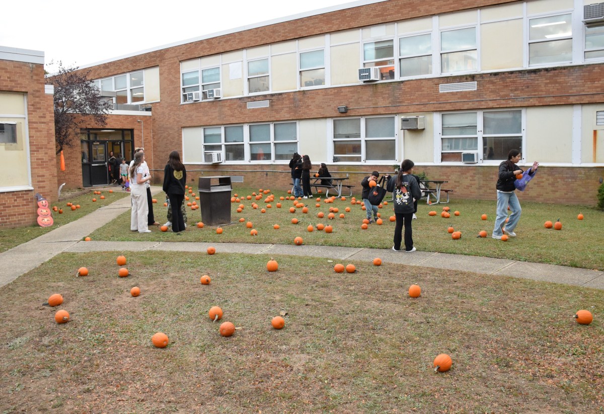 There were about 350 pumpkins in the courtyard for children to take home during the Wantagh School District's Halloween celebration.