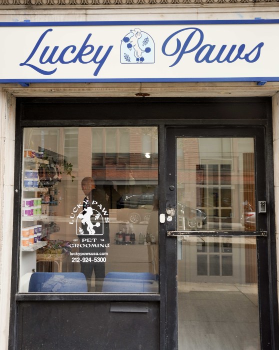 The new business’s new logo on display at their Chelsea location.