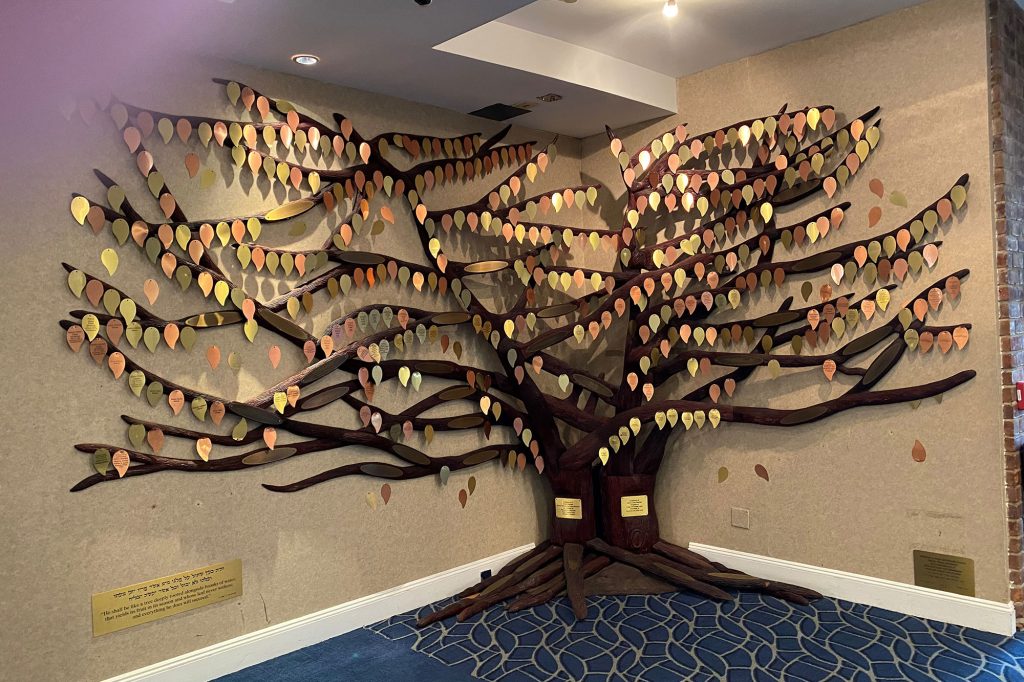 homepage-tree-1024×682