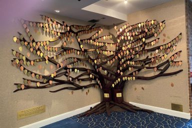 homepage-tree-1024×682
