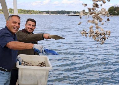 Oyster Bay Town Supervisor Joseph Saladino (L.) and Council Member Lou Imbroto (R.) add clam and oyster seeds to shellfish sanctuaries in the harbor.