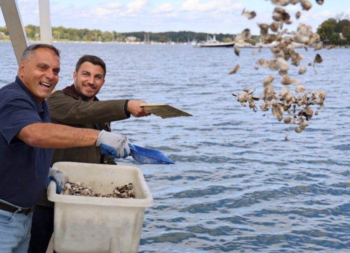 Oyster Bay Town Supervisor Joseph Saladino (L.) and Council Member Lou Imbroto (R.) add clam and oyster seeds to shellfish sanctuaries in the harbor.
