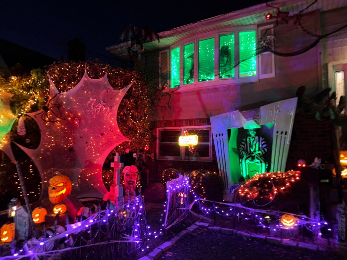 Levin said he has decorated his home for the holiday for three years.