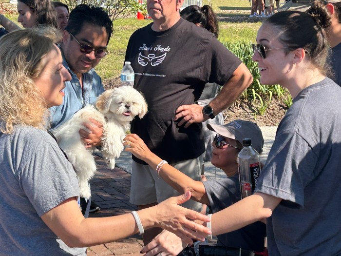 America's Vetdogs 5k Run & Dog Walk 2025 in Smithtown