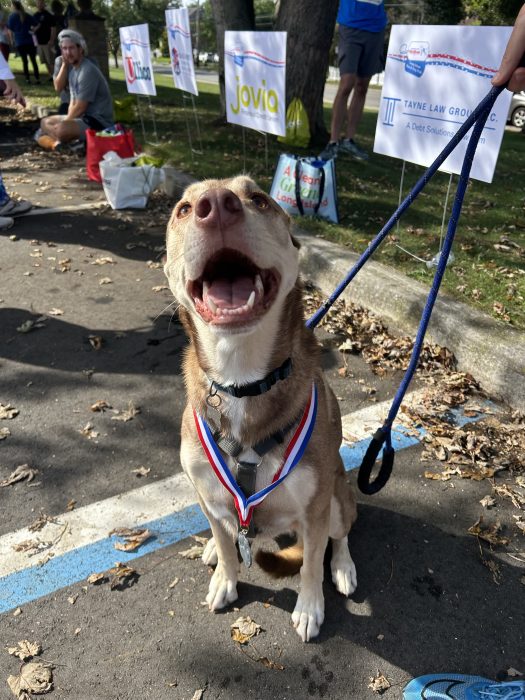 America's Vetdogs 5k Run & Dog Walk 2025 in Smithtown