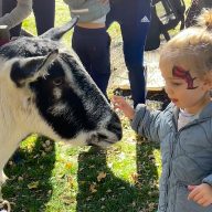 The Great Neck Park District's Harvest Festival featured a petting zoo.