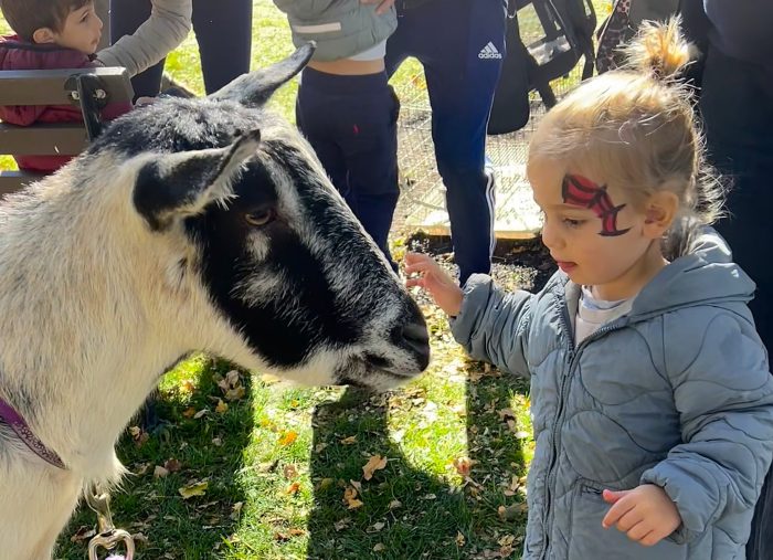 The Great Neck Park District's Harvest Festival featured a petting zoo.