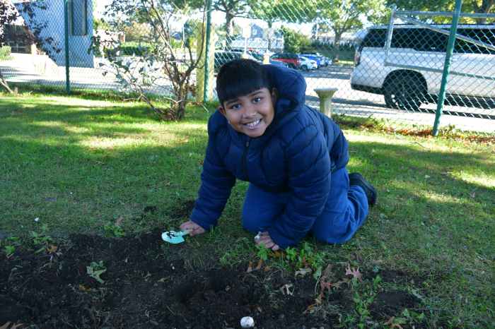 Students worked together to plant bulbs during the annual event.