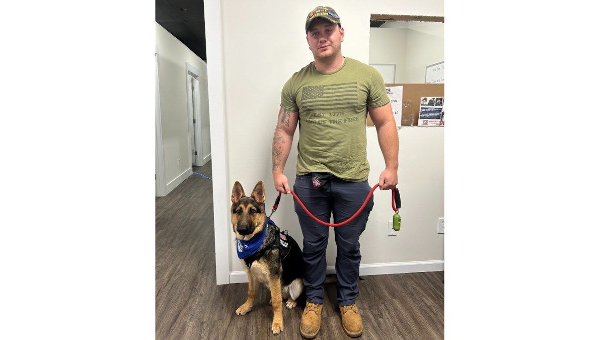 Small Business Star: Paws of War