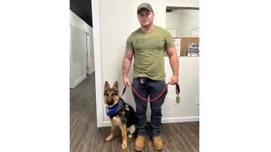 Paws of War is one of this month's Small Business Star nominees.