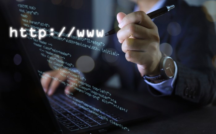 Long Island needs more webmasters