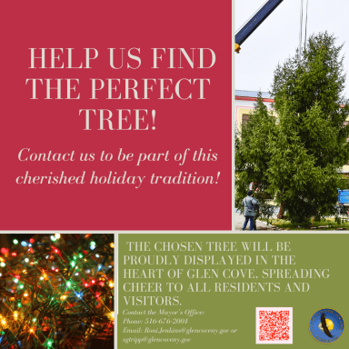 The City of Glen Cove is seeking evergreen for the holiday season for its downtown.