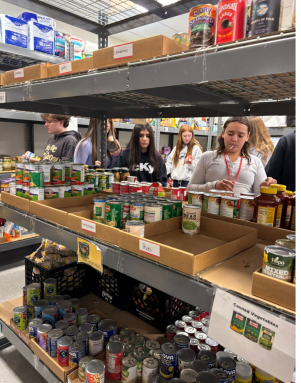 Screenshot 2025-11-10 at 3.38.13 PM