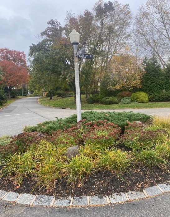 Sprotte said this "traffic island" is an area he hopes the beautification commission will improve in the future.