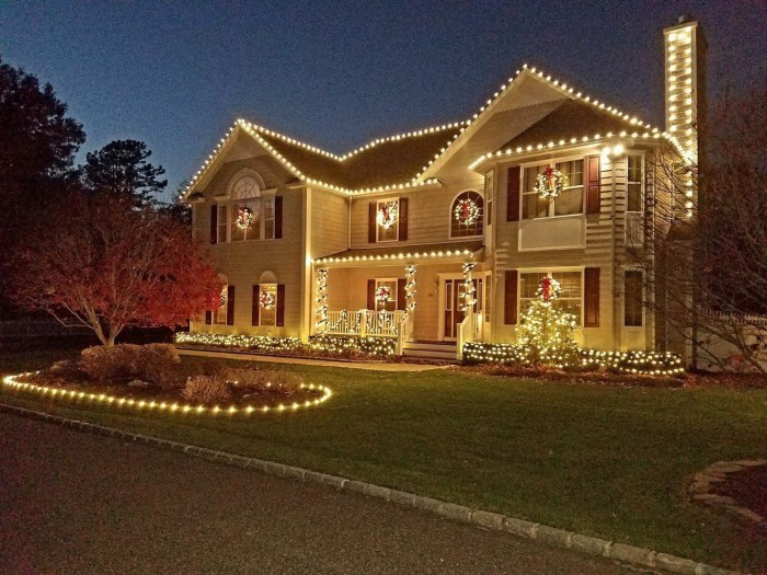 Mr. Holiday's Lights