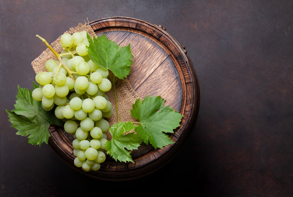 White grape on old wine barrel