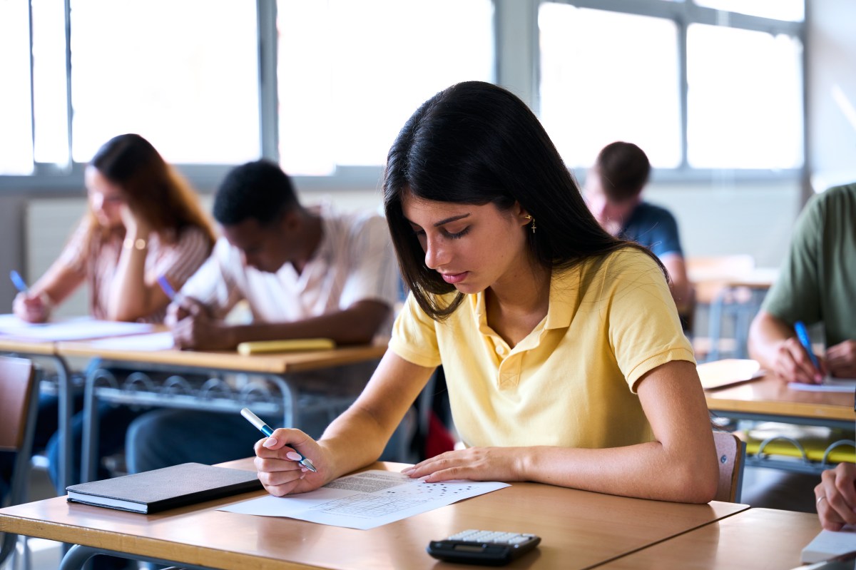 Students show state assessment gains in ELA and math across Long Island