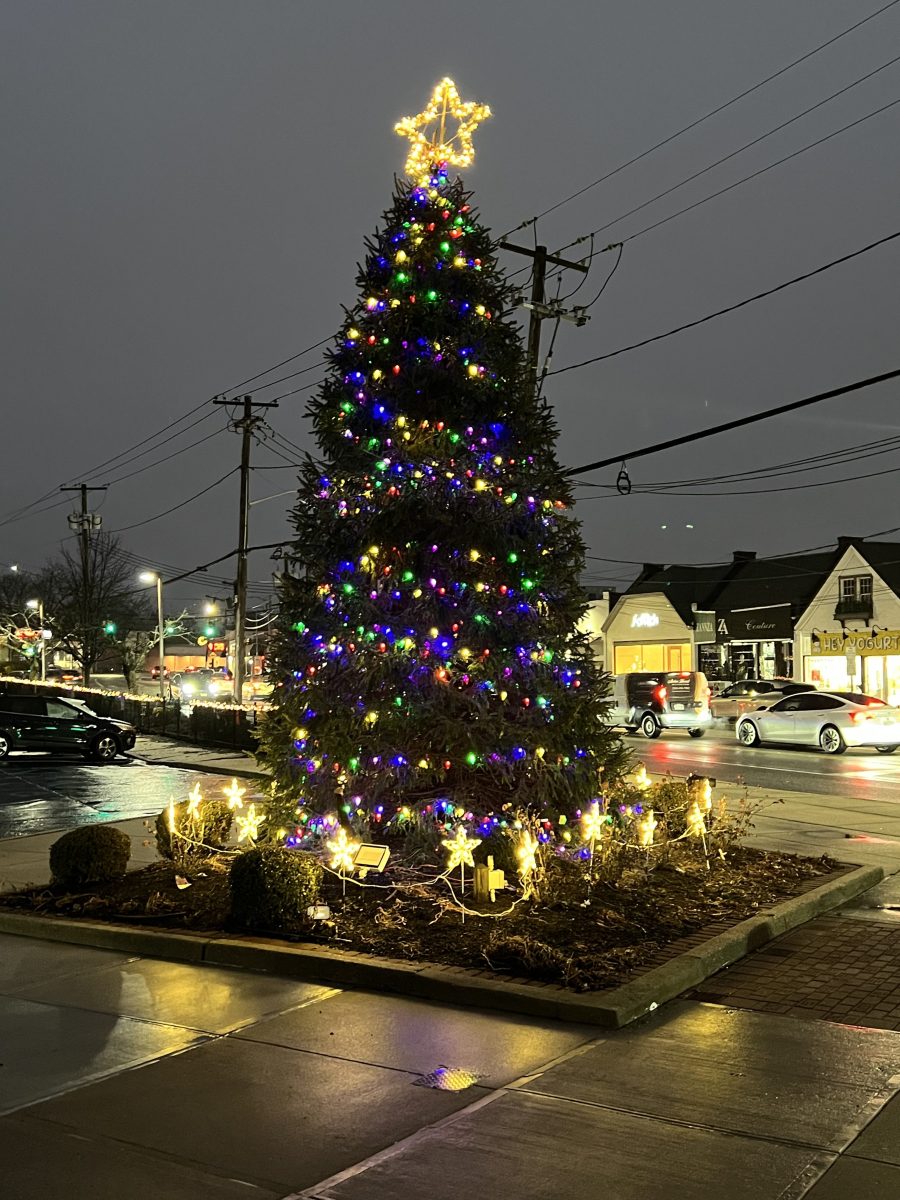The Syosset-Woodbury Chamber of Commerce held its annual holiday lighting ceremony.