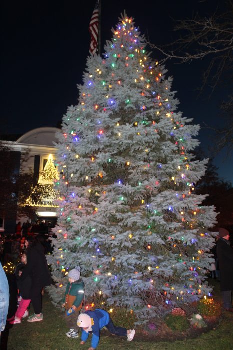 New Hyde Park Village Hall Christmas tree.
