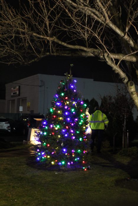 Village of Manorhaven tree.