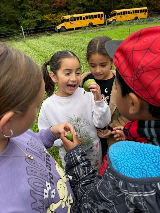 All of the second-grade students at Stokes Elementary School enjoyed their field trip to Elijah Farm.