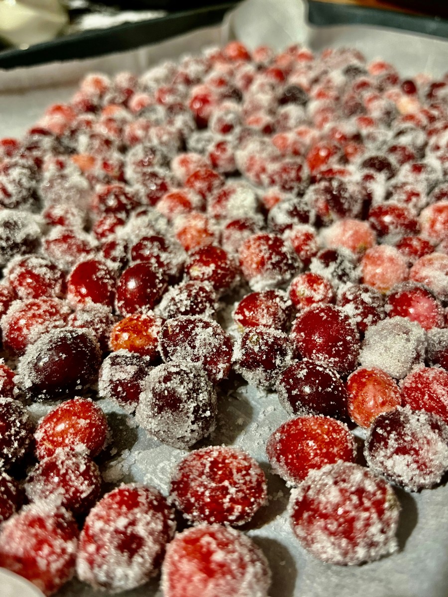 candied cranberries