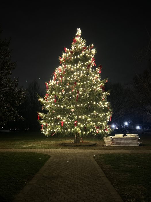 Blumenfeld Family Park and Port Washington Christmas Celebration Christmas tree.