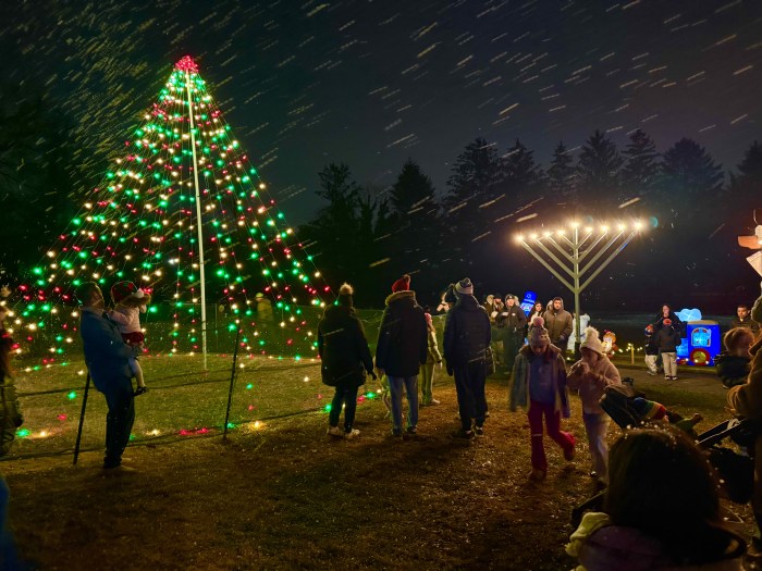 The Village of East Hills Christmas Tree and Menorah.